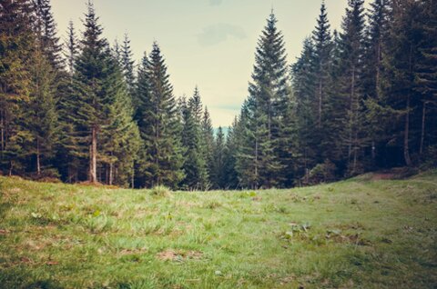Singles lohnsburg am kobernausserwald. Beste singlebrse 
